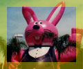 advertising inflatables - Rabbit inflatables - Easter bunny cold-air inflatables and helium inflatables available.